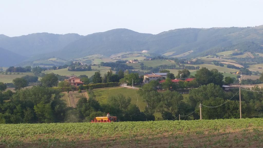 Pietra Maula Agriturismo Castelraimondo Exterior foto
